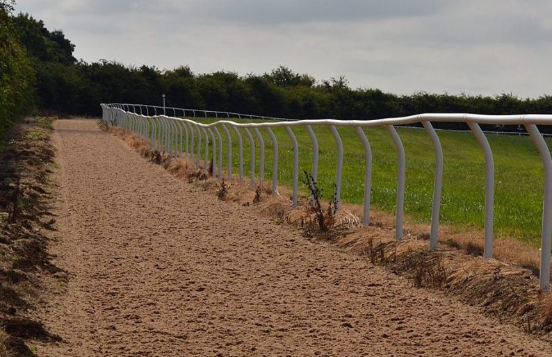Sandy path beside a fence, lined with grass and trees in the background. Used for galloping horses
