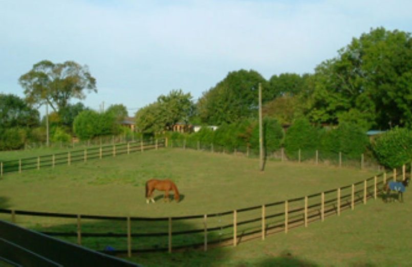 Horse wearing a rug in a sandy paddock surrounded by wooden fences and green fields.